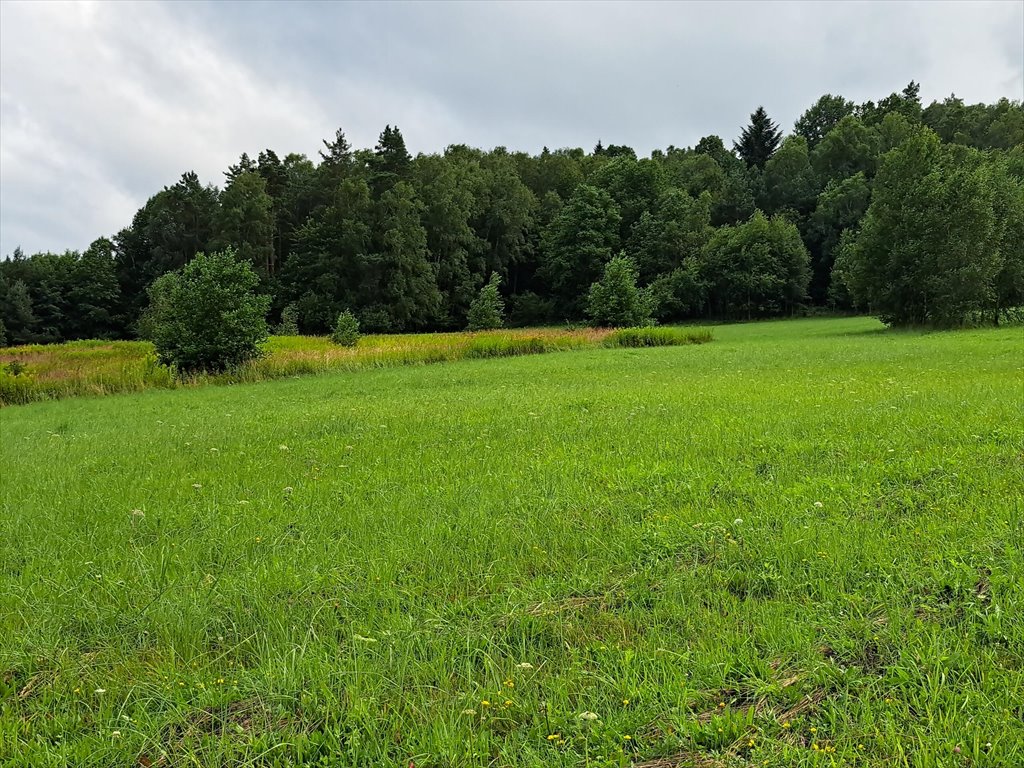 Działka rolna na sprzedaż Pietrusza Wola  5 200m2 Foto 11