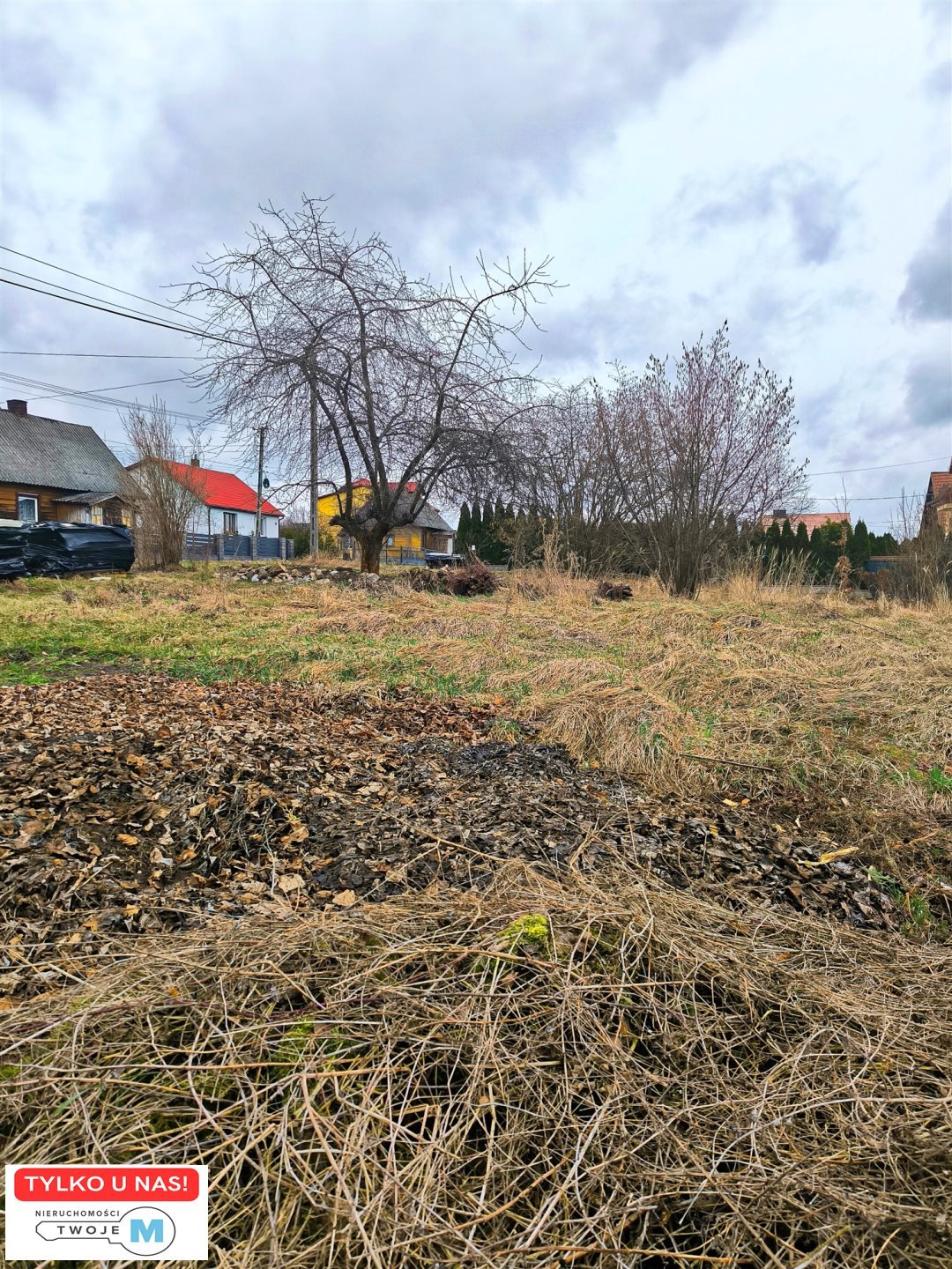 Działka budowlana na sprzedaż Mniów, Serbinów  5 000m2 Foto 1