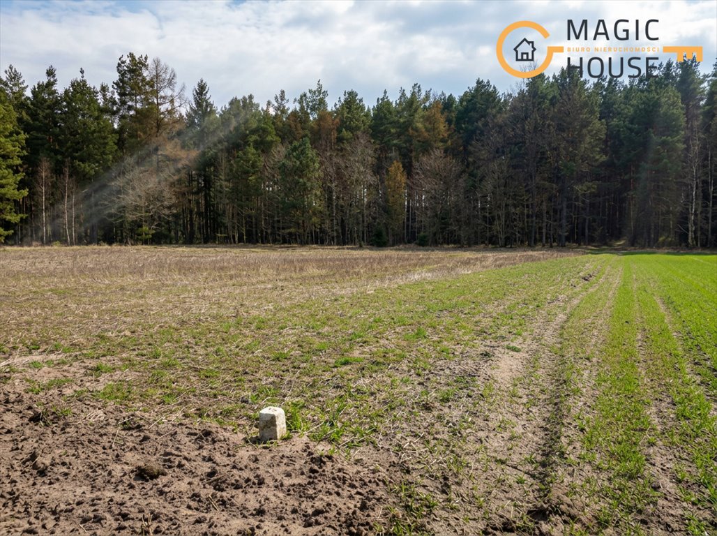 Działka budowlana 3 019 m² z widokiem na jezioro i las Kamienica Królewska, Wrzosowa  3 018m2 Foto 1