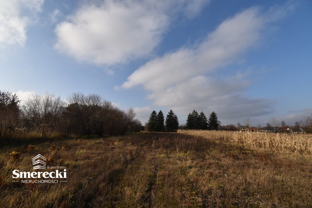 Działka budowlana na sprzedaż Okszów, Sosnowa  3 966m2 Foto 8