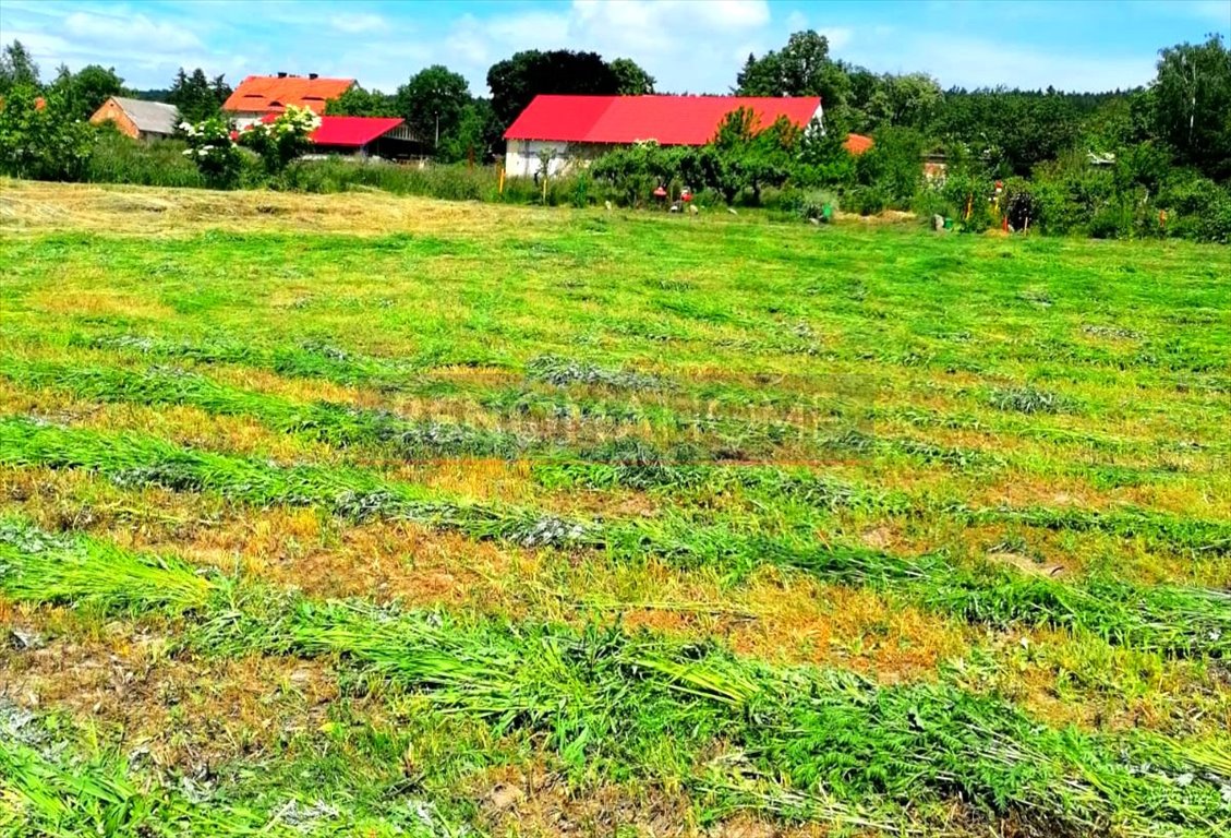 Działka budowlana na sprzedaż Książnica  1 200m2 Foto 3