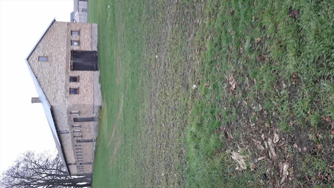 Działka 1,6 ha z budynkiem, media, ogrodzona, Grudusk Grudusk  16 000m2 Foto 1