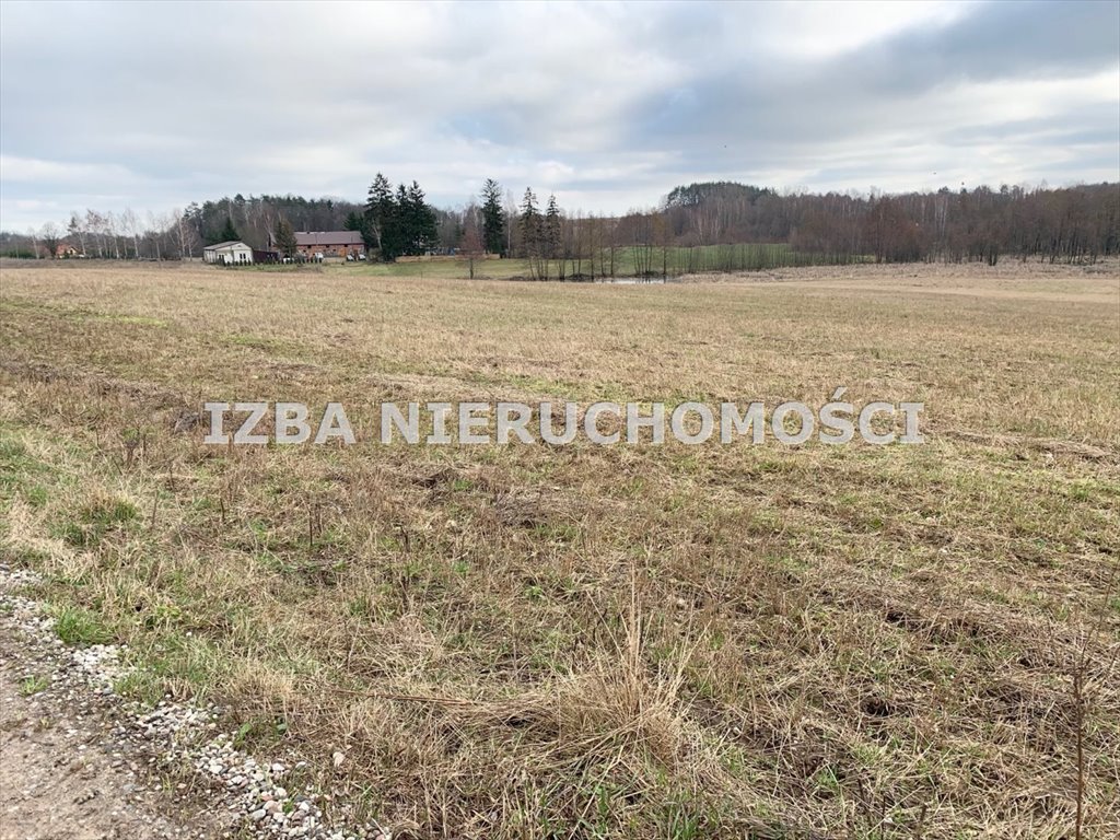 Działka rekreacyjna na sprzedaż Rękusy  3 000m2 Foto 5