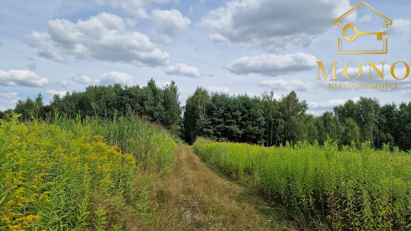 Działka rolna na sprzedaż Gadawa  13 350m2 Foto 3