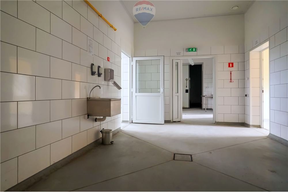 Magazyn na sprzedaż Gołębiewo  632m2 Foto 1