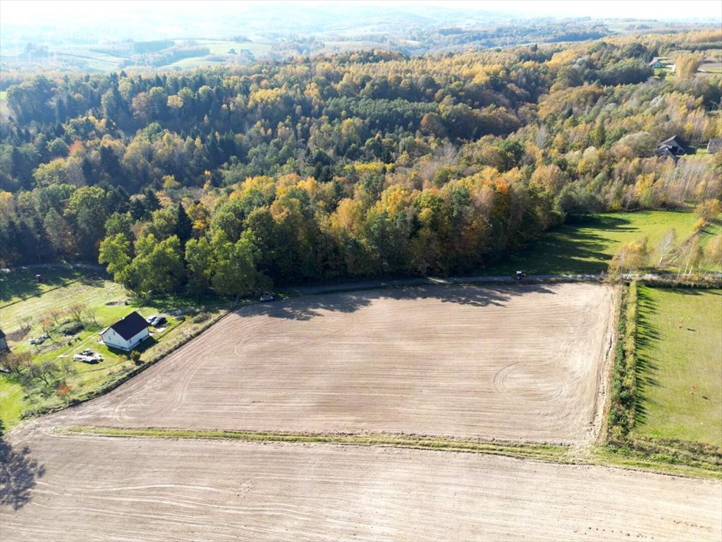 Działka budowlana na sprzedaż Błażkowa  2 200m2 Foto 15