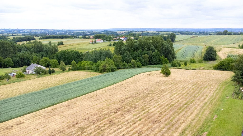 Działka budowlana na sprzedaż Niechobrz  18 300m2 Foto 9