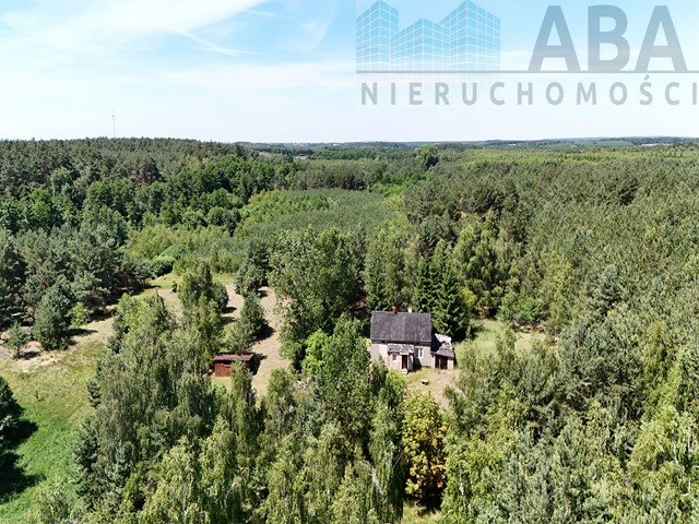 Urokliwe siedlisko 78 m2 na 7,3 ha z dobrym dojazdem Janowice  78m2 Foto 1