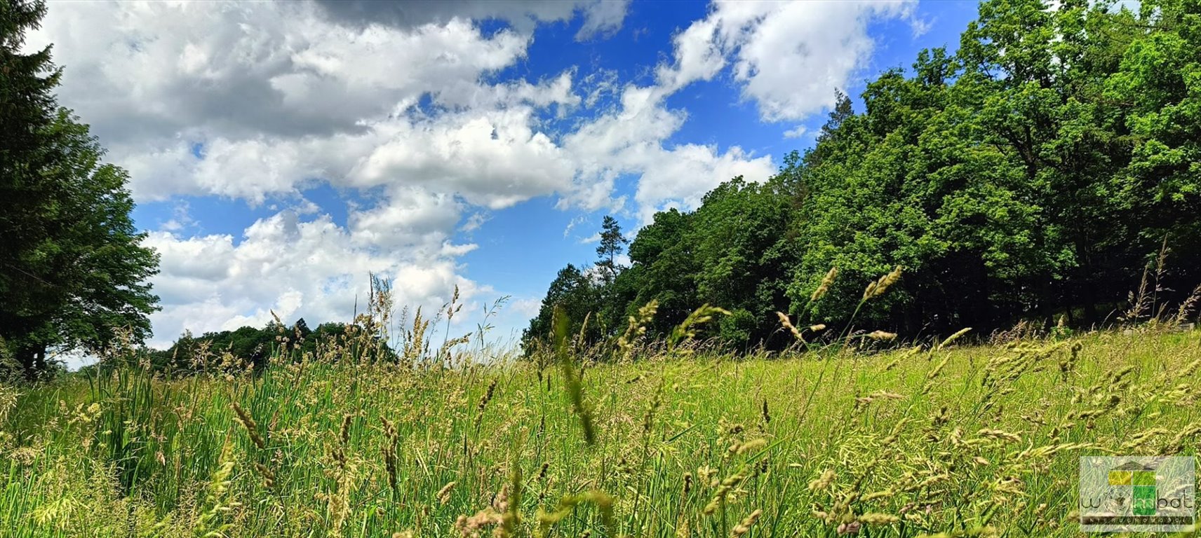 Działka budowlana na sprzedaż Szczawno-Zdrój  131 985m2 Foto 2