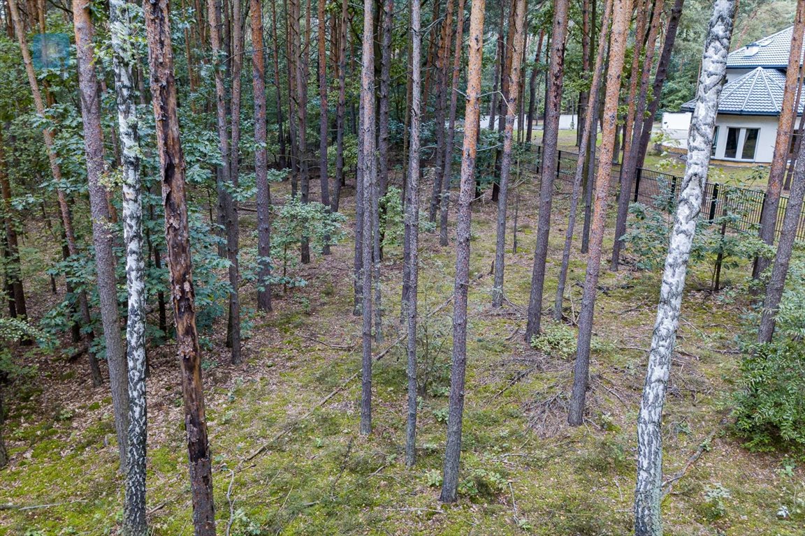 Działka inna na sprzedaż Sękocin-Las, Sękocin-Las, Sękocin Las  2 100m2 Foto 19