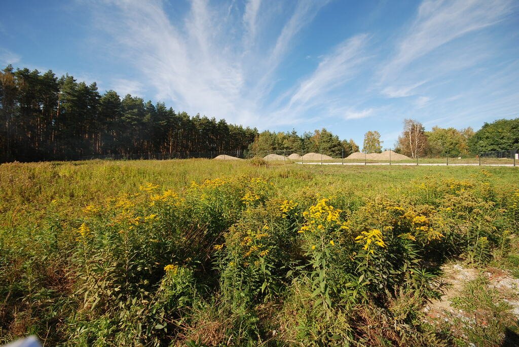 Działka budowlana na sprzedaż Grodzanów  1 000m2 Foto 3