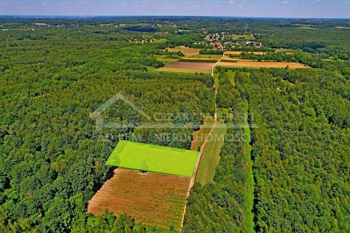 Działka rekreacyjna na sprzedaż Uściąż, Uściąż  3 000m2 Foto 2