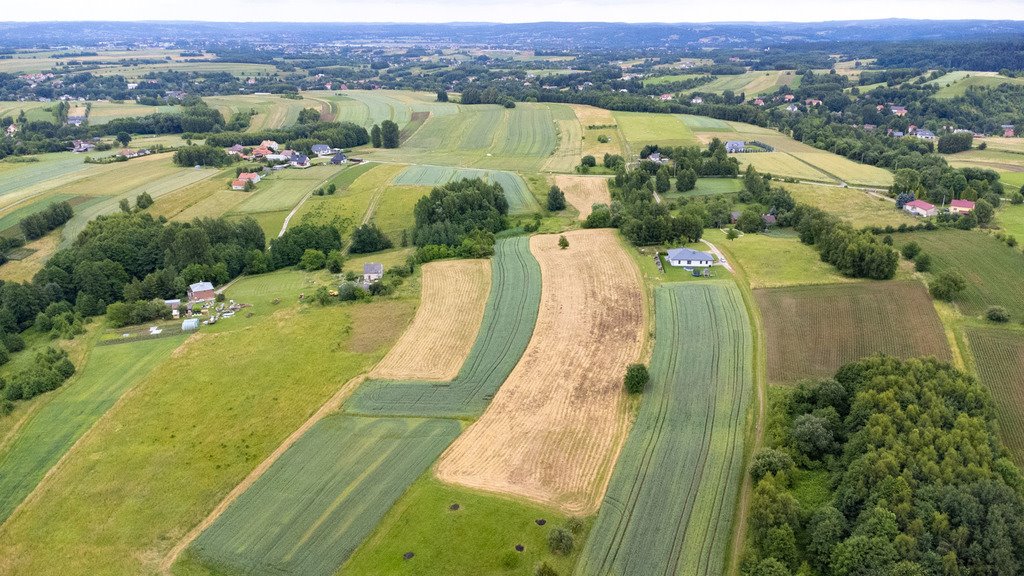 Działka budowlana na sprzedaż Niechobrz  18 300m2 Foto 12