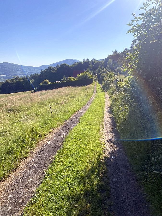 Działka budowlana na sprzedaż Ustroń, Lipowska  1 010m2 Foto 17