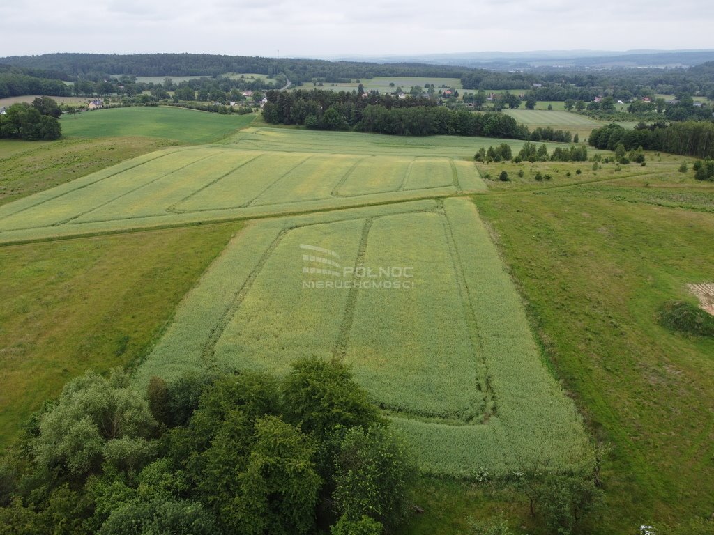 Działka budowlana na sprzedaż Włodzice Wielkie  1 000m2 Foto 2