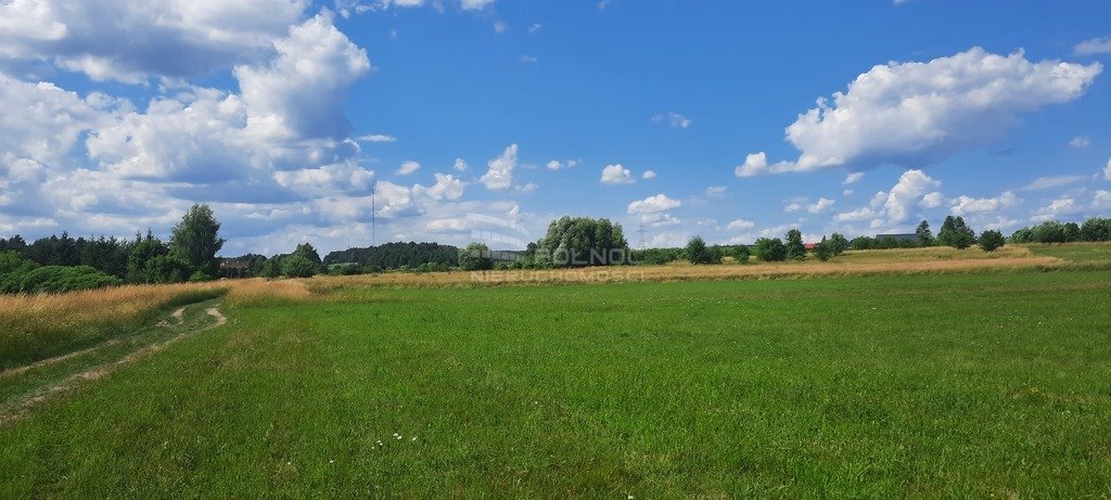 Działka rolna na sprzedaż Dobrzyniewo Kościelne  7 985m2 Foto 6