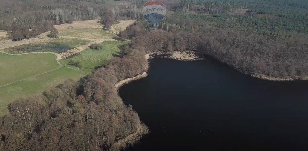 Działka rekreacyjna na sprzedaż Warnice  88 800m2 Foto 1