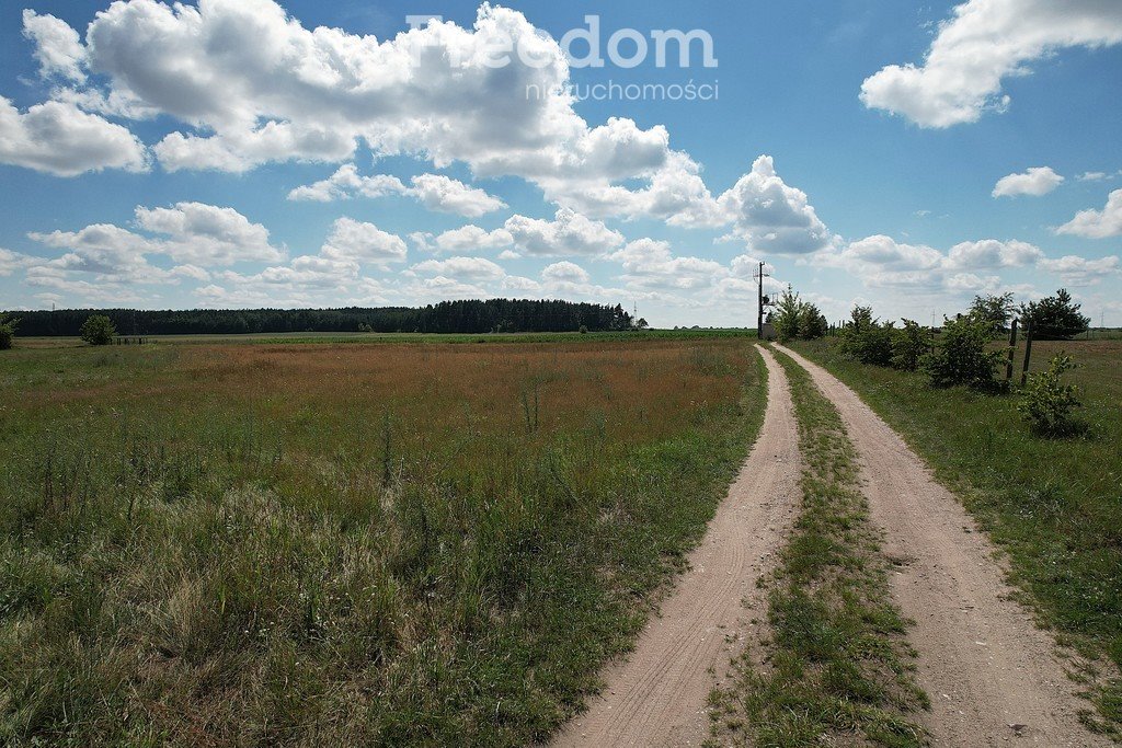 Działka budowlana na sprzedaż Bogusze  3 005m2 Foto 10