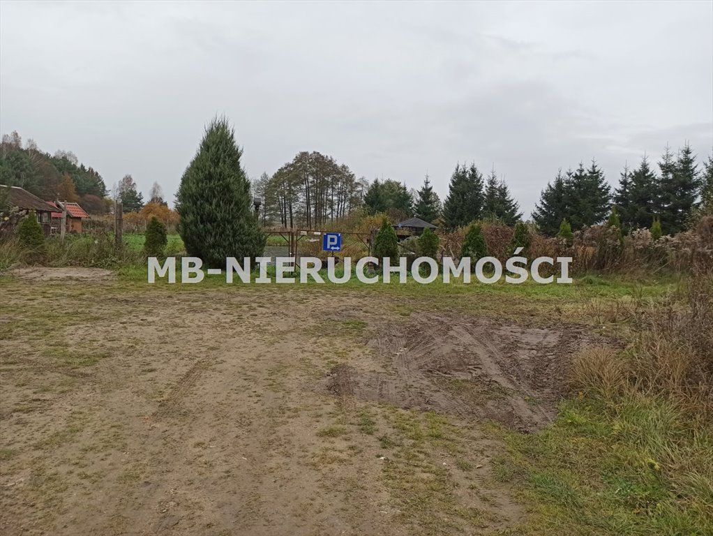 Działka inna na sprzedaż Ruś  13 080m2 Foto 1