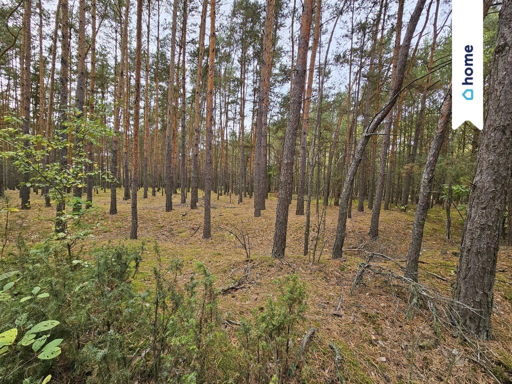 Działka inna na sprzedaż Sobieńki  1 270m2 Foto 20