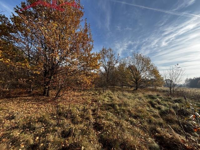 Duża działka 29 ar z mediami w Krośnie - zapraszam Krosno  2 933m2 Foto 1
