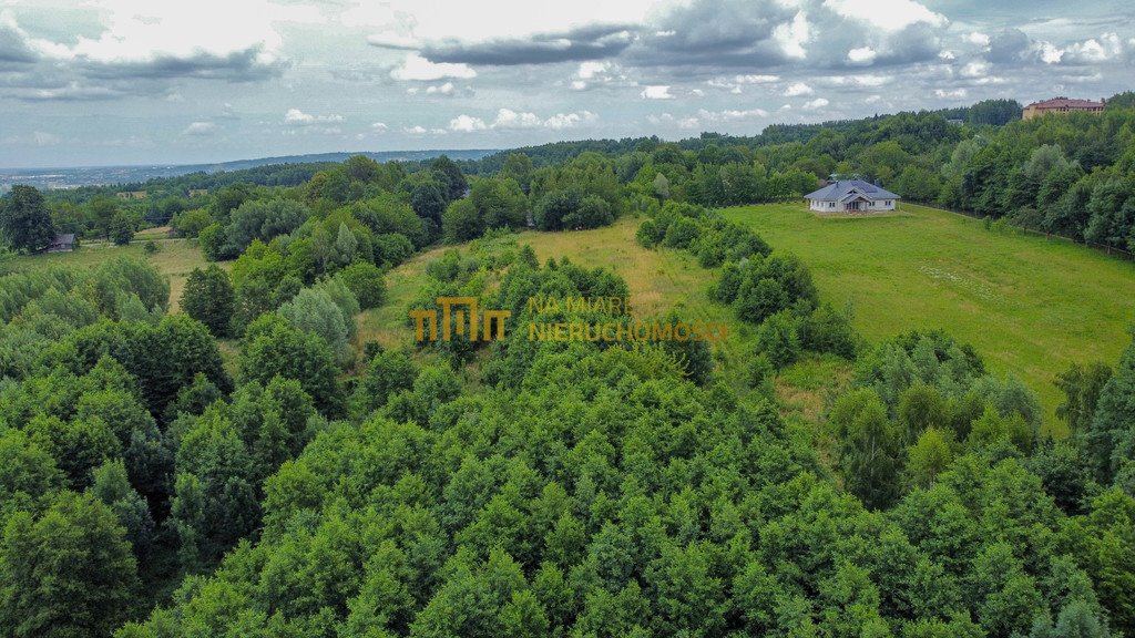 Działka budowlana na sprzedaż Siedliska  6 700m2 Foto 7