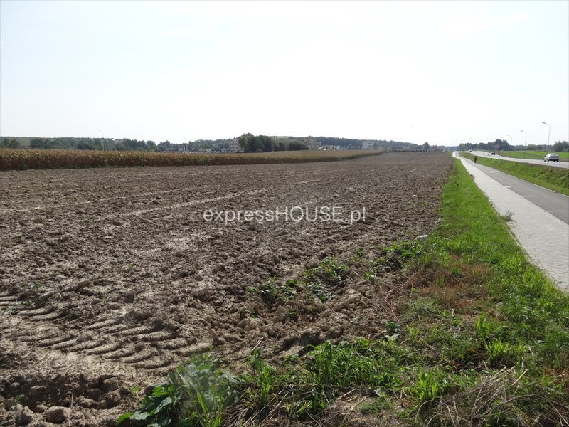 Działka budowlana na sprzedaż Łęczna, Krasnystawska 15 700m2 Foto 1 Działka budowlana na sprzedaż Łęczna, Krasnystawska 15 700m2 Foto 1