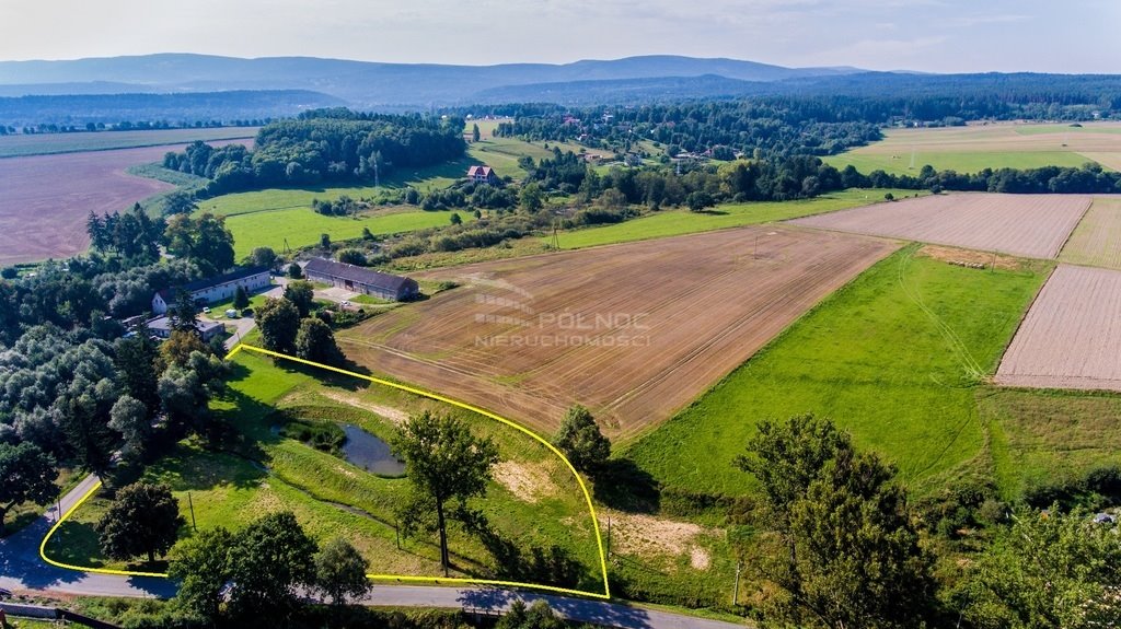 Działka budowlana na sprzedaż Wolany  6 000m2 Foto 3