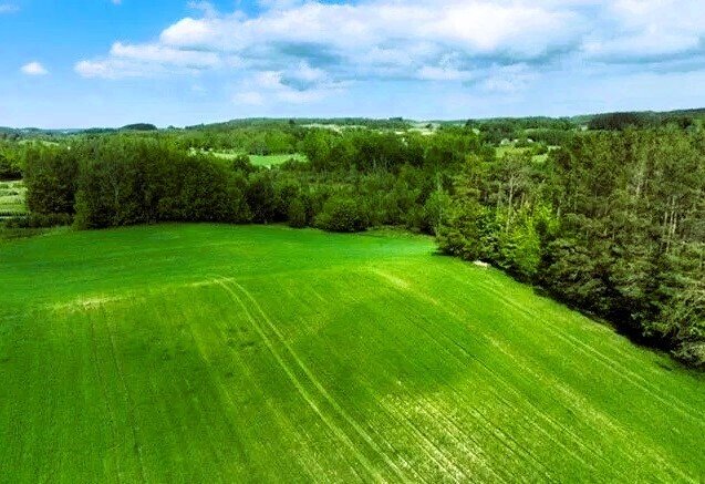 Działka budowlana na sprzedaż Sznurki  1 244m2 Foto 3