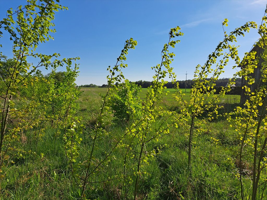 Dom na sprzedaż Płasków  250m2 Foto 10