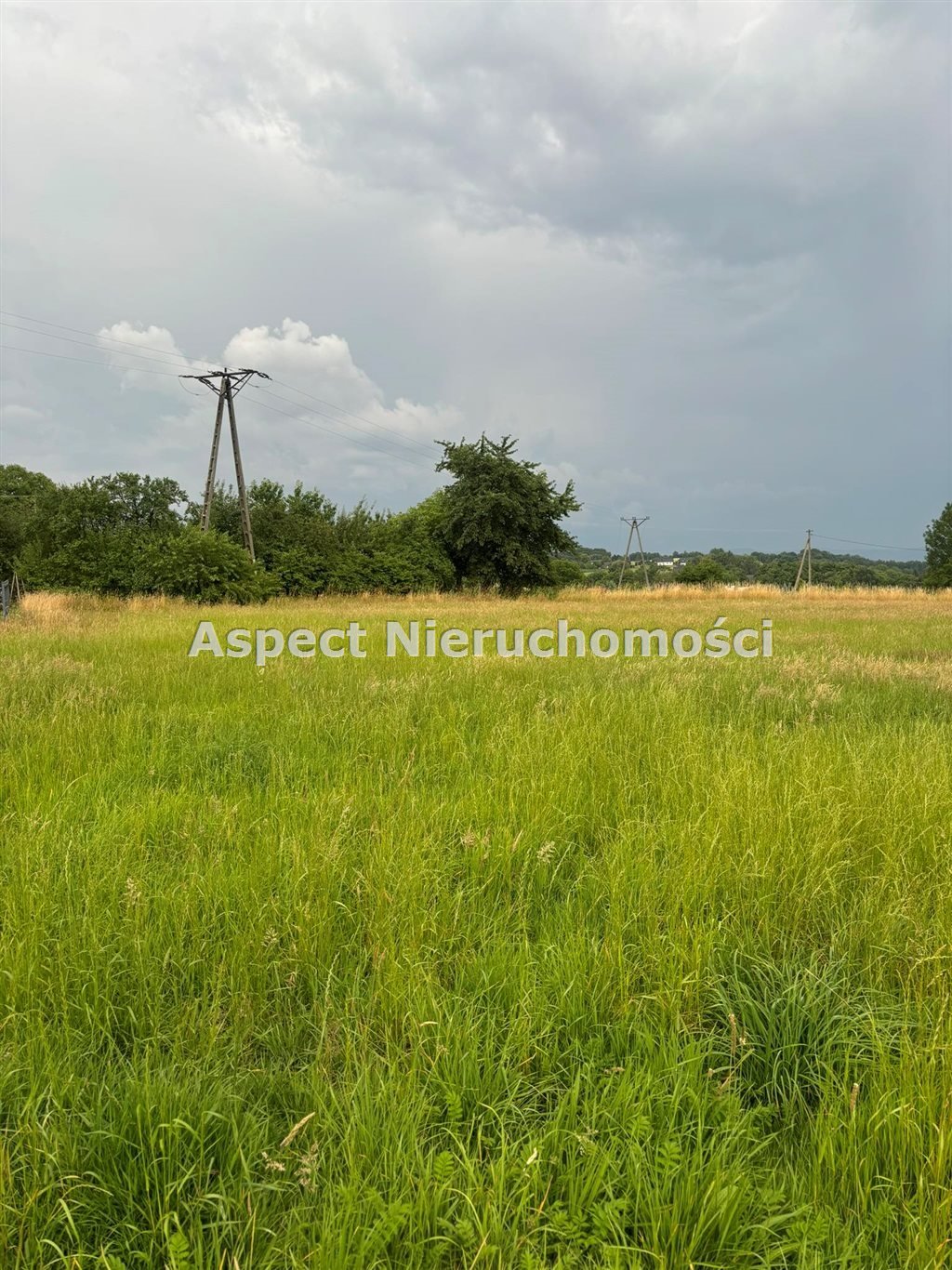 Działka budowlana na sprzedaż Pogwizdów  2 046m2 Foto 4