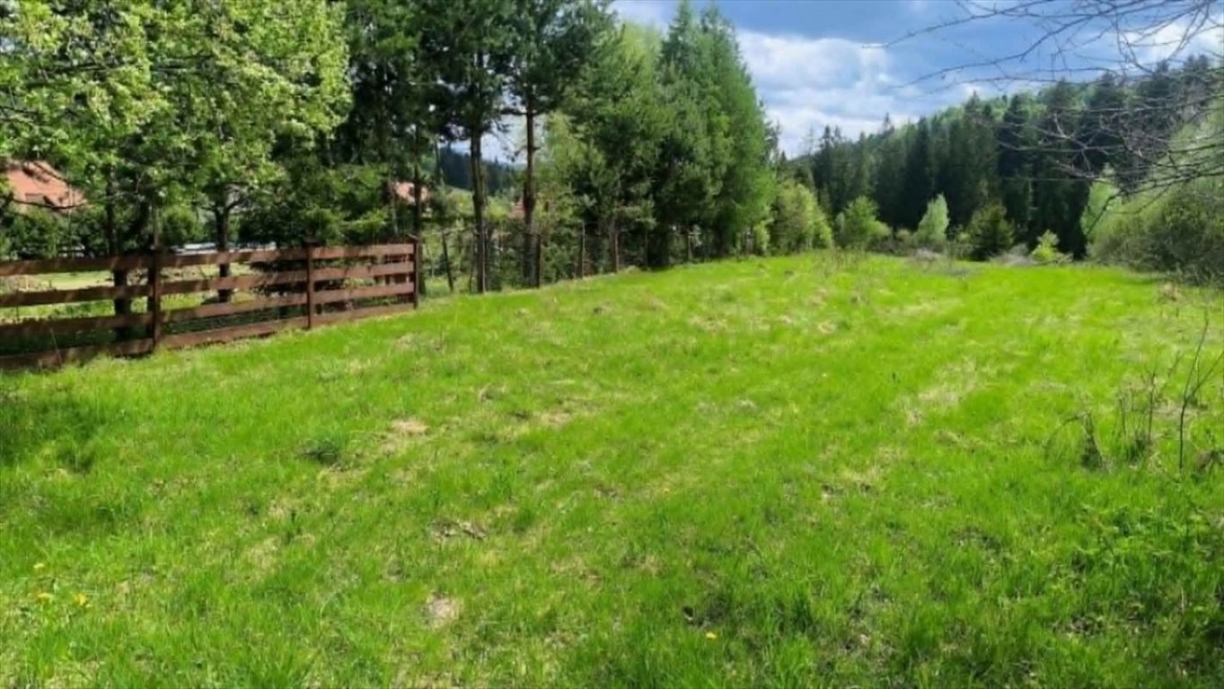 Działki rolne w Laliki z dostępem do infrastruktury - zapraszam Laliki  11 800m2 Foto 1