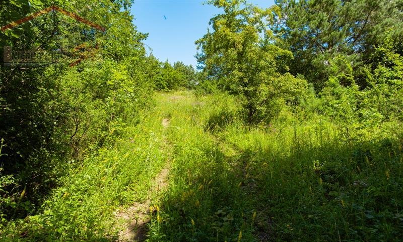 Działka inna na sprzedaż Gudowo  24 200m2 Foto 7