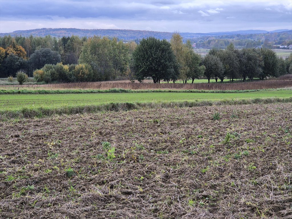 Działka rolna na sprzedaż Długie  1 910m2 Foto 9