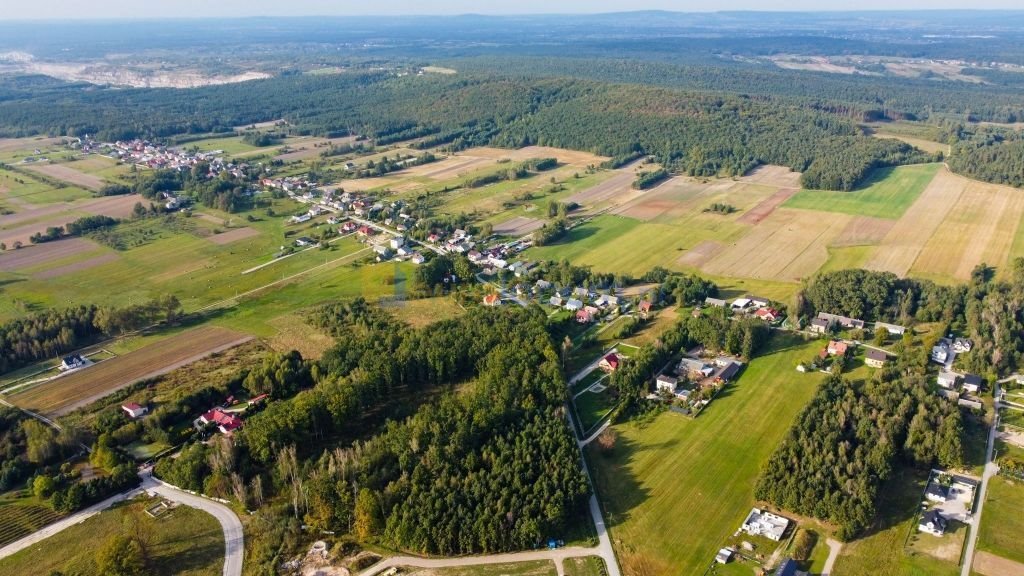 Działka budowlana na sprzedaż Skiby  7 970m2 Foto 5