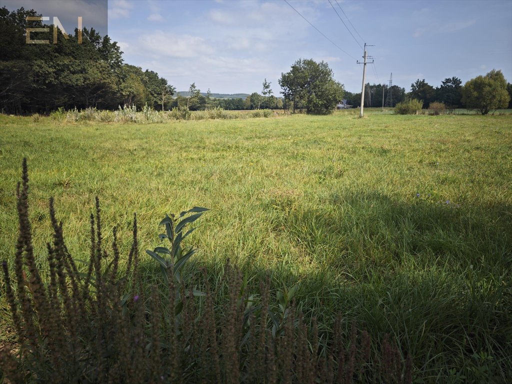 Działka budowlana na sprzedaż Głębokie  1 600m2 Foto 10