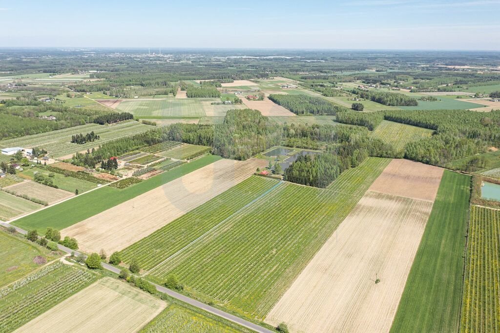 Działka siedliskowa na sprzedaż Zimnice  24 000m2 Foto 13