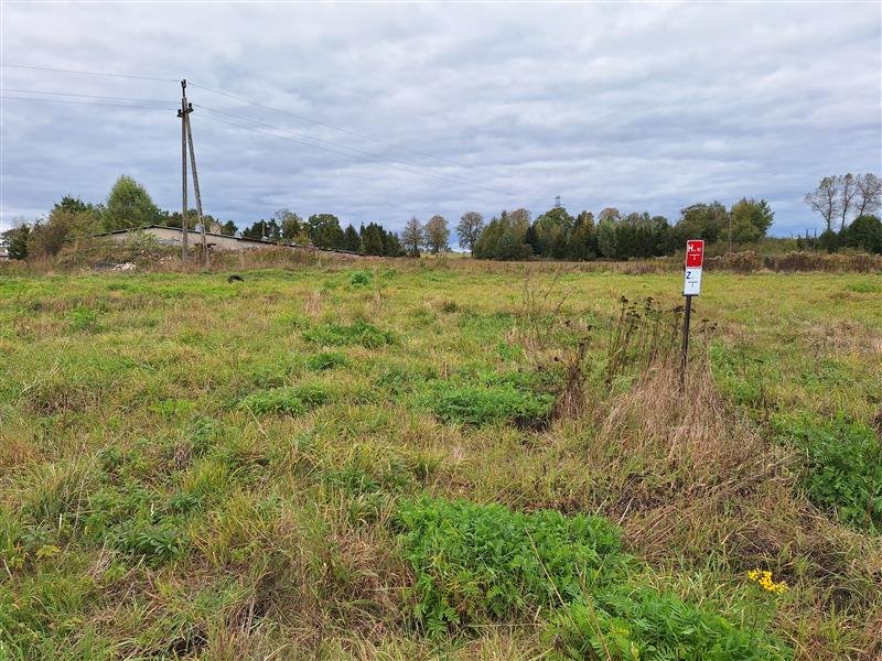 Działka inna na sprzedaż Warszkowo, Kolonia  518m2 Foto 4