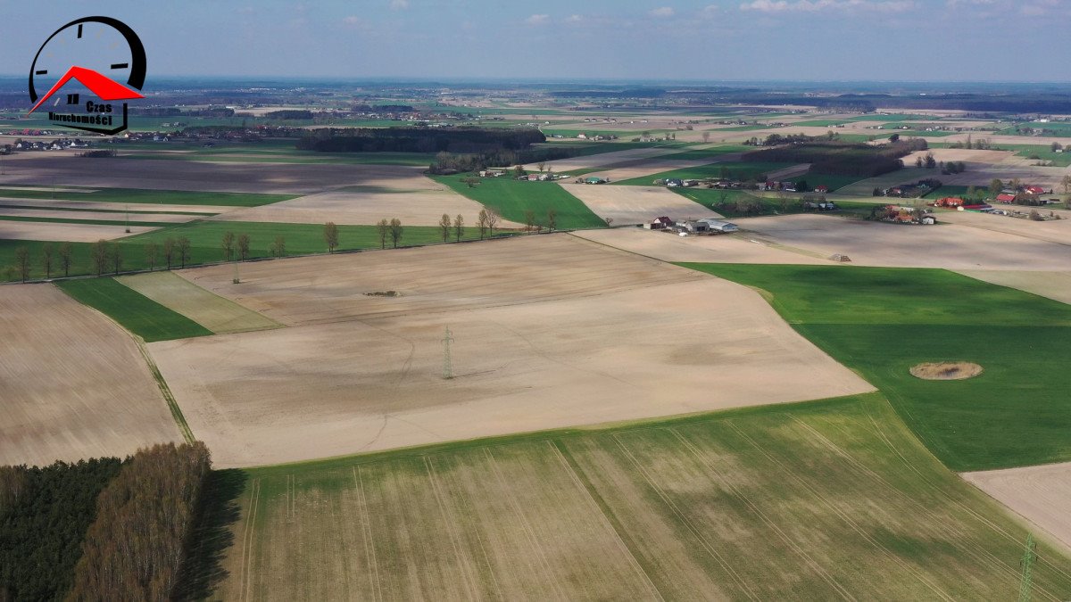 Działka gospodarstwo rolne na sprzedaż Barcin-Wieś  19 500m2 Foto 2