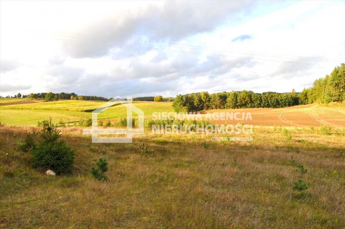 Działka budowlana na sprzedaż Borzestowo  1 500m2 Foto 4