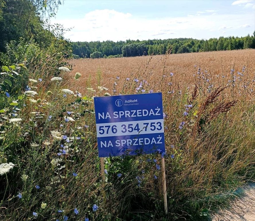 Działka gospodarstwo rolne na sprzedaż Małynka  6 002m2 Foto 1