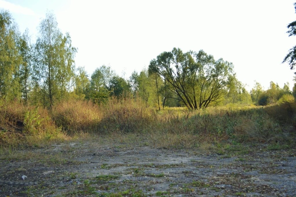 Działka budowlana na sprzedaż Sierzchów, Mazowiecka  10 500m2 Foto 2