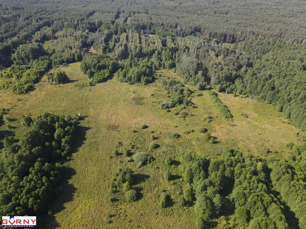 Działka inna na sprzedaż Stobnica-Piła  7 300m2 Foto 9