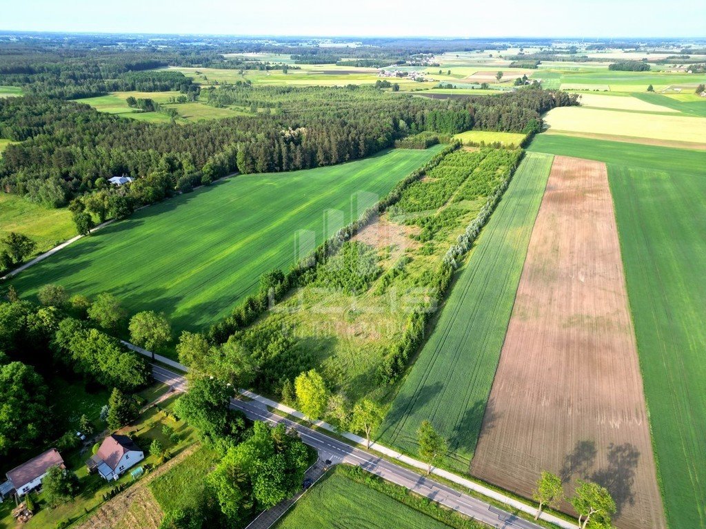 Działka budowlana na sprzedaż Bietowo  3 000m2 Foto 8