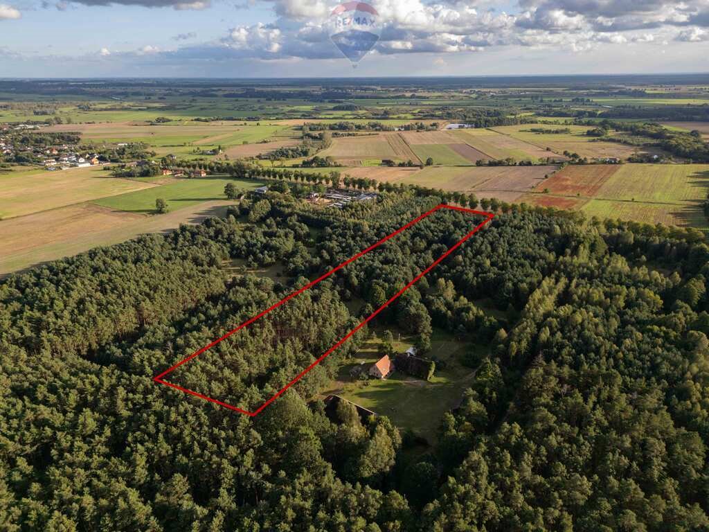 Działka 2,28 ha z dostępem do drogi i mediami Jędrzejewo  22 800m2 Foto 1