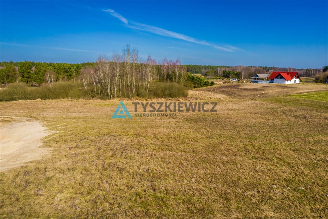 Działka rolna na sprzedaż Kurcze  3 517m2 Foto 10