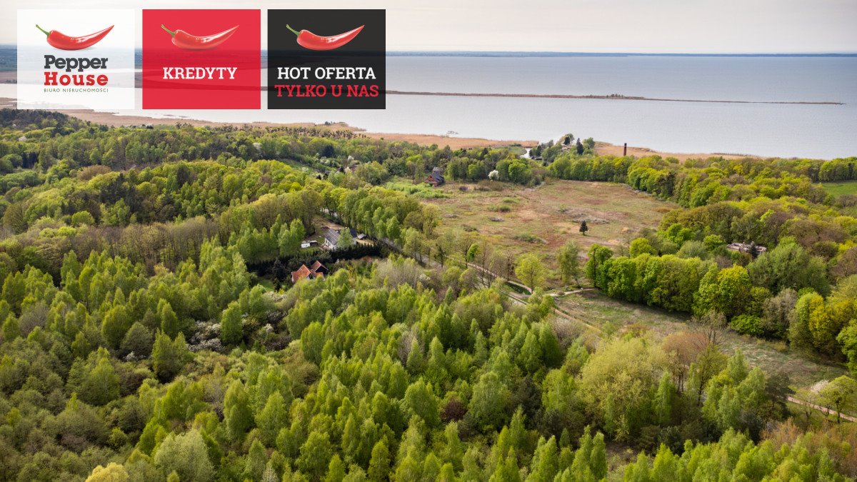 Działka siedliskowa na sprzedaż Kamionek Wielki  9 981m2 Foto 1