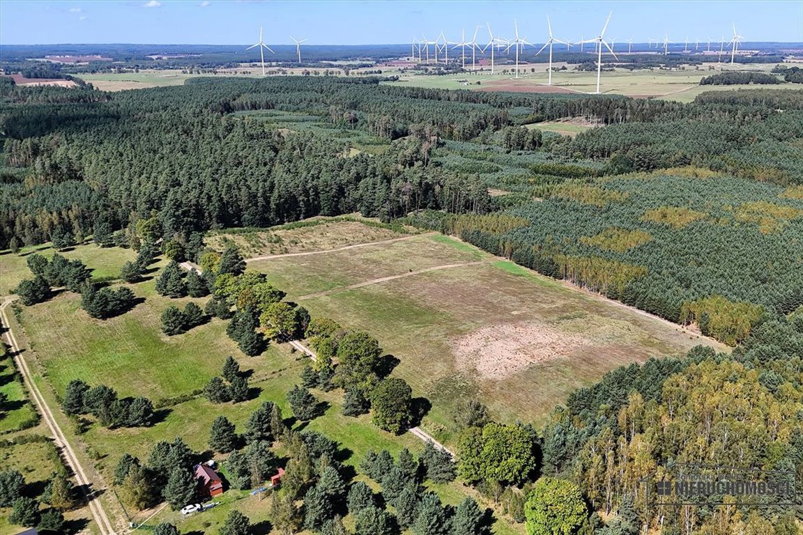 Działka budowlana na sprzedaż Dołgie  815m2 Foto 8