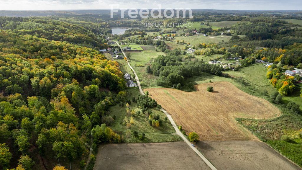 Działka budowlana na sprzedaż Klonowo Dolne, Głęboka  9 739m2 Foto 20