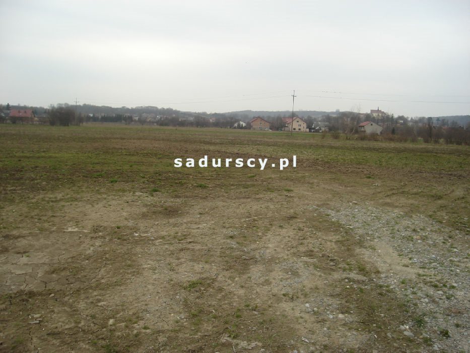 Działka inwestycyjna na sprzedaż Morawica  10 000m2 Foto 3